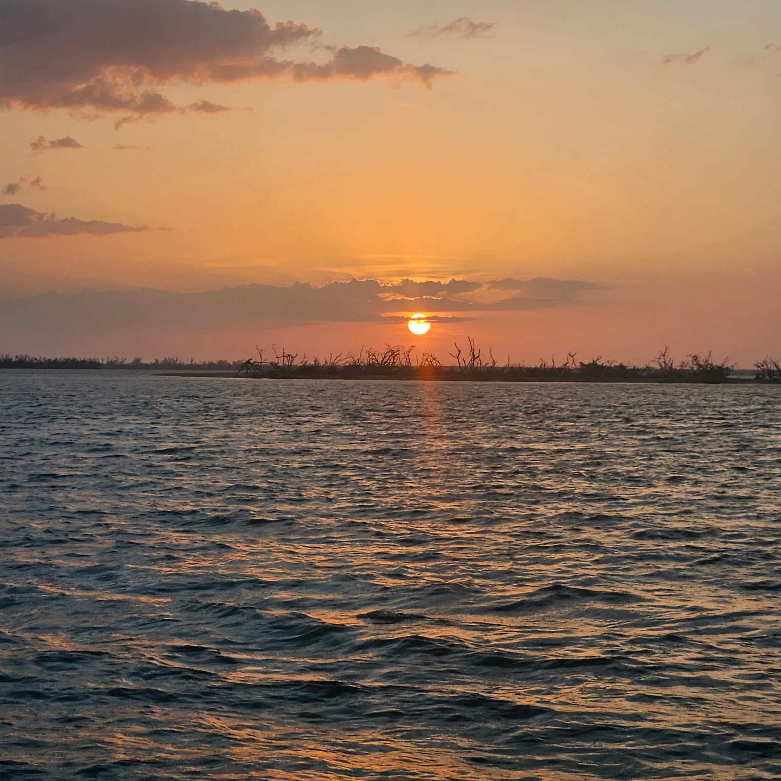 Southwest Florida sunset over the water