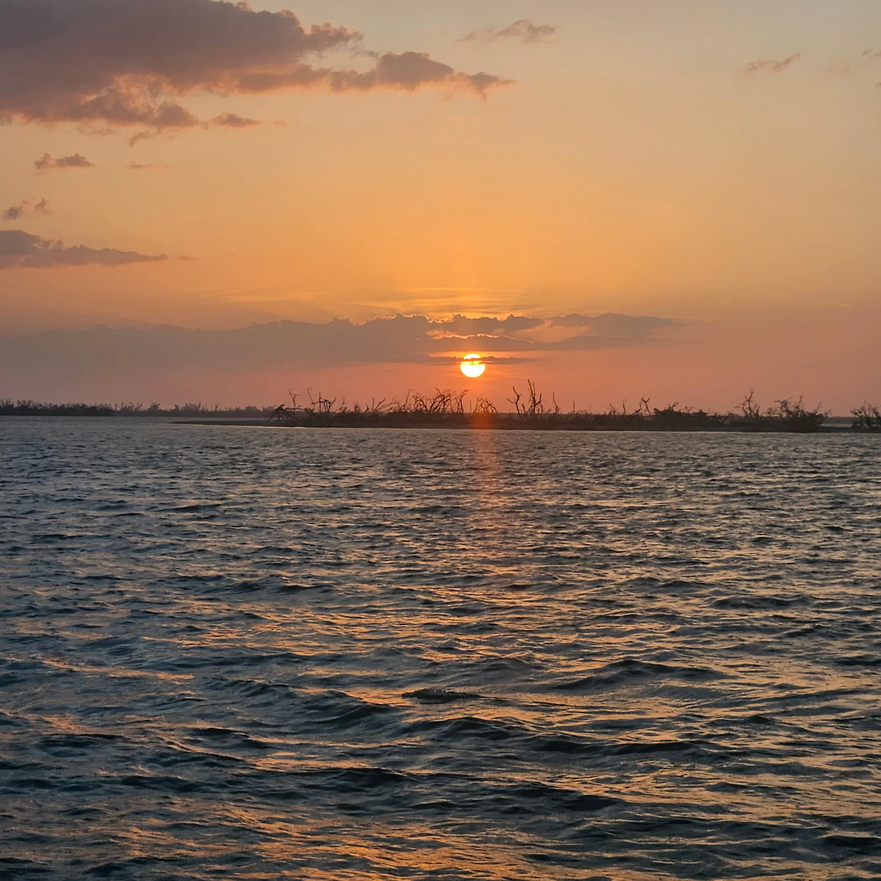 Southwest Florida sunset over the water during an evening Big Tiki cruise